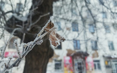 В Кировской области объявлено метеопредупреждение из-за заморозков